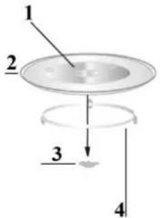 CASO EMGS 25 - Glasdrehteller - 1