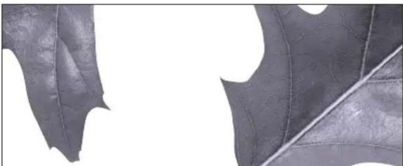 FAGOR 1F2611P - AVERTISSEMENTS - 1