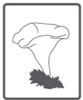 FAGOR FE7212B - Tambor - 16