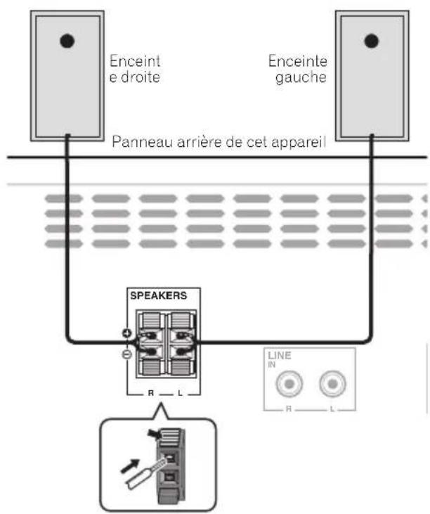 PIONEER XHM11DAB - Raccordement des enceintes - 1