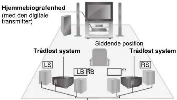 PANASONIC SHFX70E - f.eks. 5.1 kanaler - 2