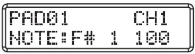 SAMSON Conspiracy - Pad trigger - 1