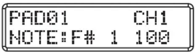 SAMSON Conspiracy - Trigger-Pads - 1