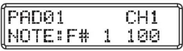 SAMSON Conspiracy - Trigger Pads - 1