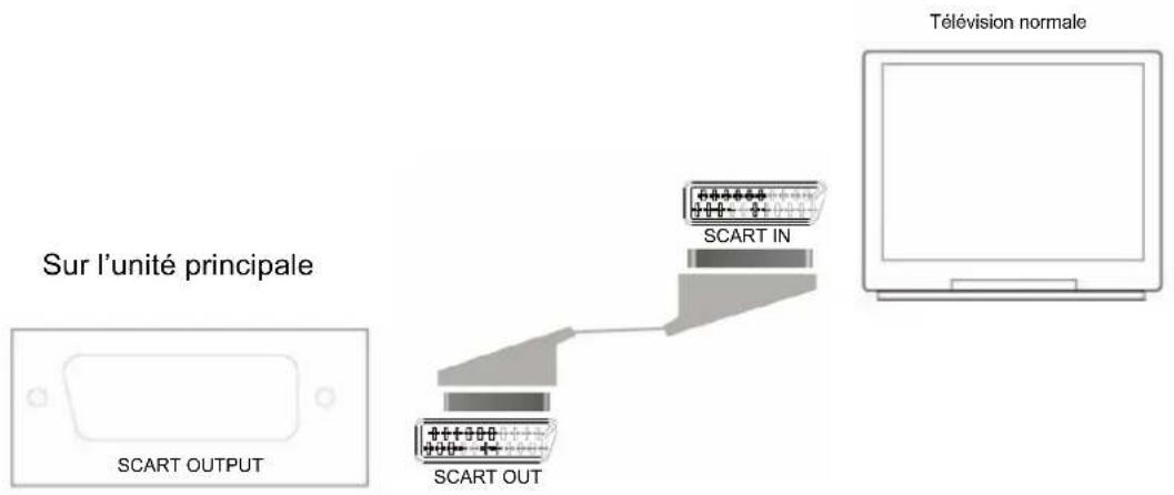 Marquant MHA061 - Connector TV/Amplificateur - 1