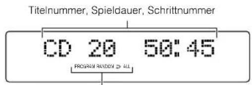 JVC VSDT7R - Benutzung des CD-Spielers - 3