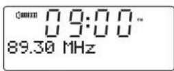 SANGEAN DDR43 Plus - FM Radio - 5