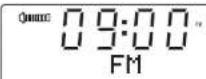 SANGEAN DDR43 Plus - FM Radio - 11