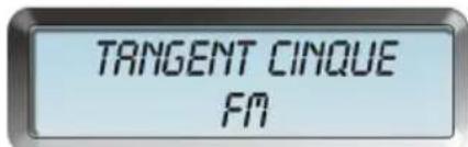 TANGENT Cinque DAB - Tilslutning af radioen - 1