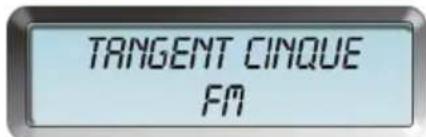TANGENT Cinque DAB - Conexión de la radio - 1