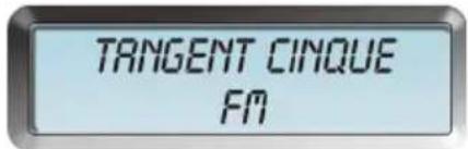 TANGENT Cinque DAB - Anschluss des Radios - 1