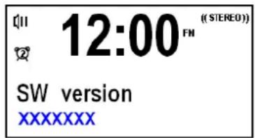 DUAL NR 50 DAB - Affichage de la version logicielle - 1