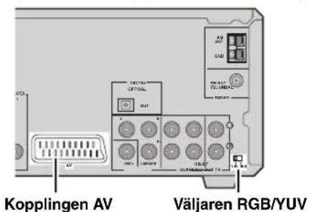 Kopplingen AV Väljaren RGB/YUV