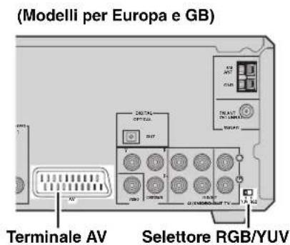 (Modelli per Europa e GB) Terminale AV Selettore RGB/YUV