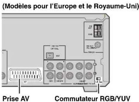 (Modèles pour l'Europe et le Royaume-Uni) Prise AV Commutateur RGB/YUV