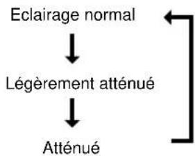 YAMAHA CDX396 - CDX-496, CDX-396 - 2