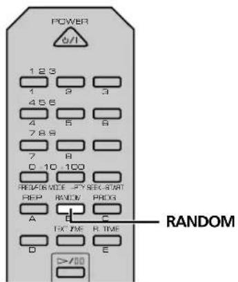 YAMAHA CRXE200 - Lecture aléatoire - 1