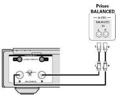MARANTZ NA11S1 - Connexions analogiques - 2