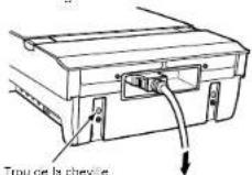 DENON DA03 - Raccorder un récepteur CD et un subwoofer - 2