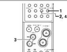 DENON D107 - Display brightness setting - 1