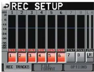 REC SETUP 0E 1 2 3 4 5 6 7 8 L R 1 2 3 4 5 6 7 8 LR 1 2 3 4 5 6 7 8 LR REC TRACKS FILE FORMAT OPTIONS