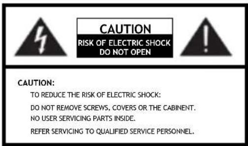SCANSONIC IN210 - Important Safety Instructions - 1