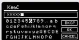 REVO Domino - INTERNETEINSTELLUNGEN - 4