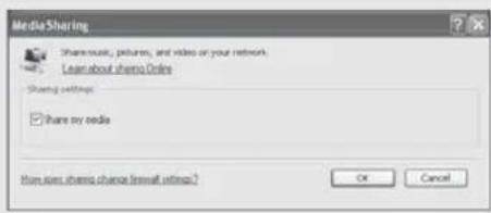 REVO Domino - SHARING MEDIA WITH WINDOWS MEDIA PLAYER - 2