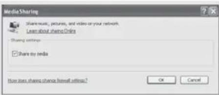 REVO Domino - PARTAGER LES MEDIA AVEC WINDOWS MEDIA PLAYER - 1