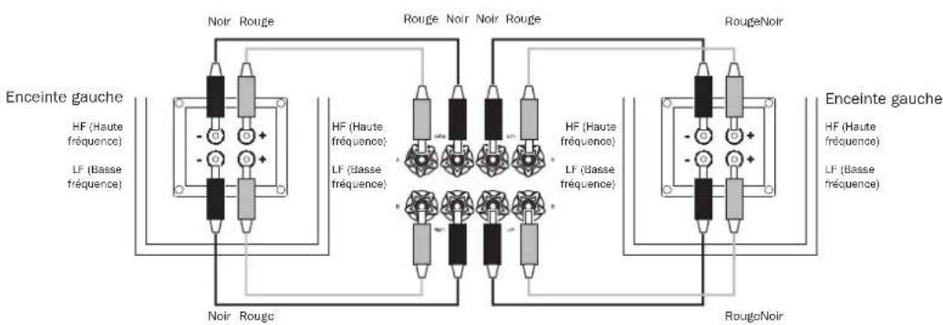 CAMBRIDGE Topaz SR20 - Raccordements par bi-cablage - 1