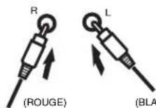 ELTA 2311 - Connexions des hauts-parleur - 1