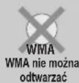 PANASONIC SLSX480 - Jakie płyty można odtwarzać - 3
