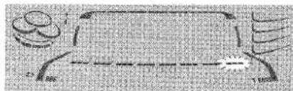 AIWA NSXMT725 - SETTING A NEW EQUALIZATION CURVE MANUALLY - 3