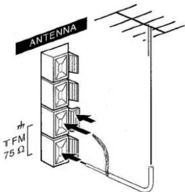 ANTENNA TFM 75 Ω