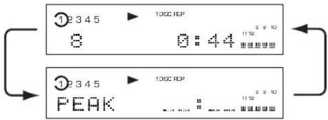 12345 8 10GC REP 0:44 11:12 5 S 10 11:12 PEAK 12345 10GC REP 0:44 11:12 5 S 10
