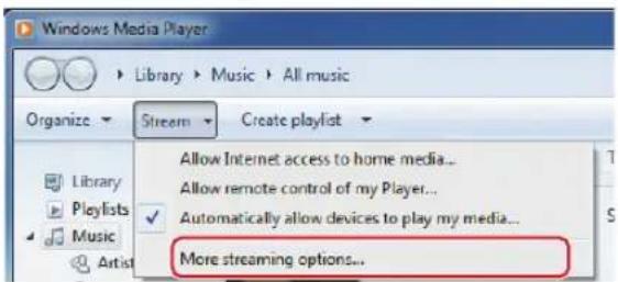 TASCAM CD240 - Dans le menu « Diffuser en continu » du lecteur Windows Media, Sélectionnez « Plus d'options de diffusion en continu » - 1