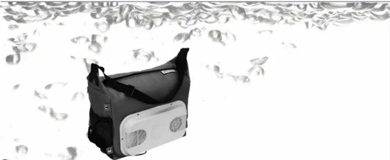 WAECO MobiCool S13 DC - Our Name is our Mission - 1