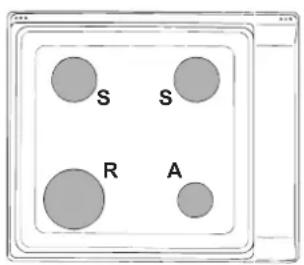 INDESIT PI 640 A (IX) - Solo per apparecchi con dispositivo di sicurezza contro le fughe di gas. - 1
