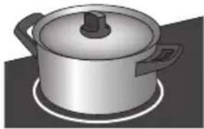 Pelgrim IDK694 - La cuisson par induction est rapide - 1