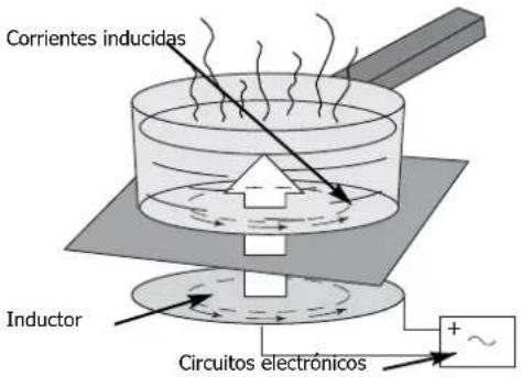 DE DIETRICH DTI309 - Principio de la induccion - 1