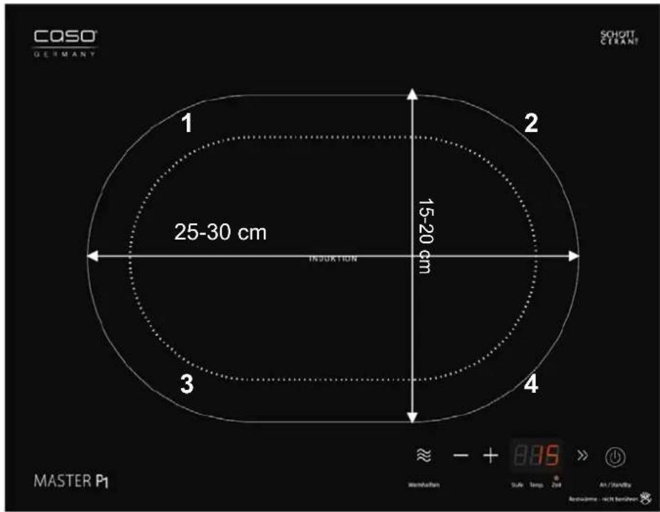 CASO Master P1 - Panoramica complessiva - 1