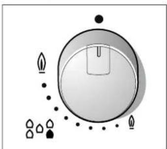 CONSTRUCTA CA174251 - Brûleurs à gaz - 1