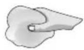 CONSTRUCTA CA18350 - JA - 1