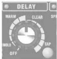 ROLAND CUBE 40GX - Mando [DELAY] - 1