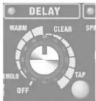ROLAND CUBE 40GX - Botão [DELAY] - 1