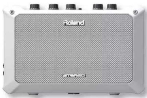 ROLAND Mobile BA - AVIS - 1