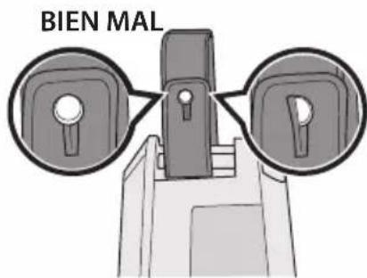 BIEN MAL