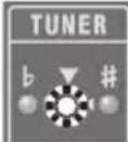 ROLAND Micro Cube GX - Chromatisches Stimmgerät - 4