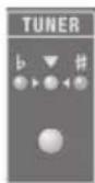 ROLAND Micro Cube GX - Pressione o botão [TUNER] para que ele fique aceso. - 1
