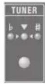 ROLAND Micro Cube GX - Press the [TUNER] button so it's lit. - 1